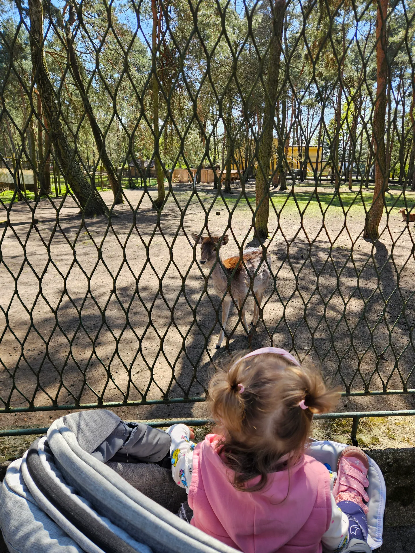 Park Jacka Kuronia w Sosnowcu z dziećmi – mini zoo, dinozaury i plac zabaw – zdjęcie 7