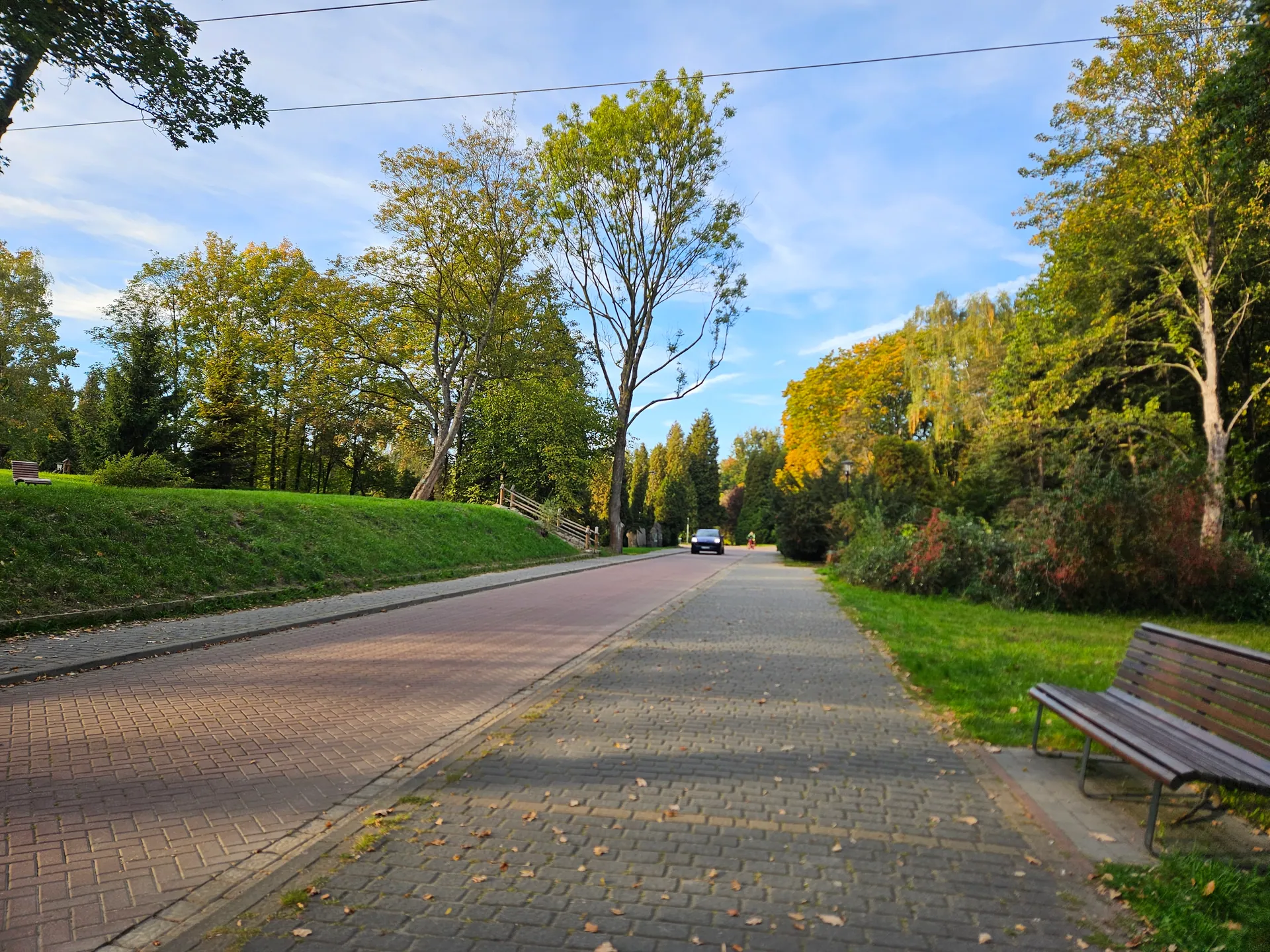 Park Śląski w Chorzowie z dziećmi – spacery, zieleń i atrakcje – zdjęcie 3