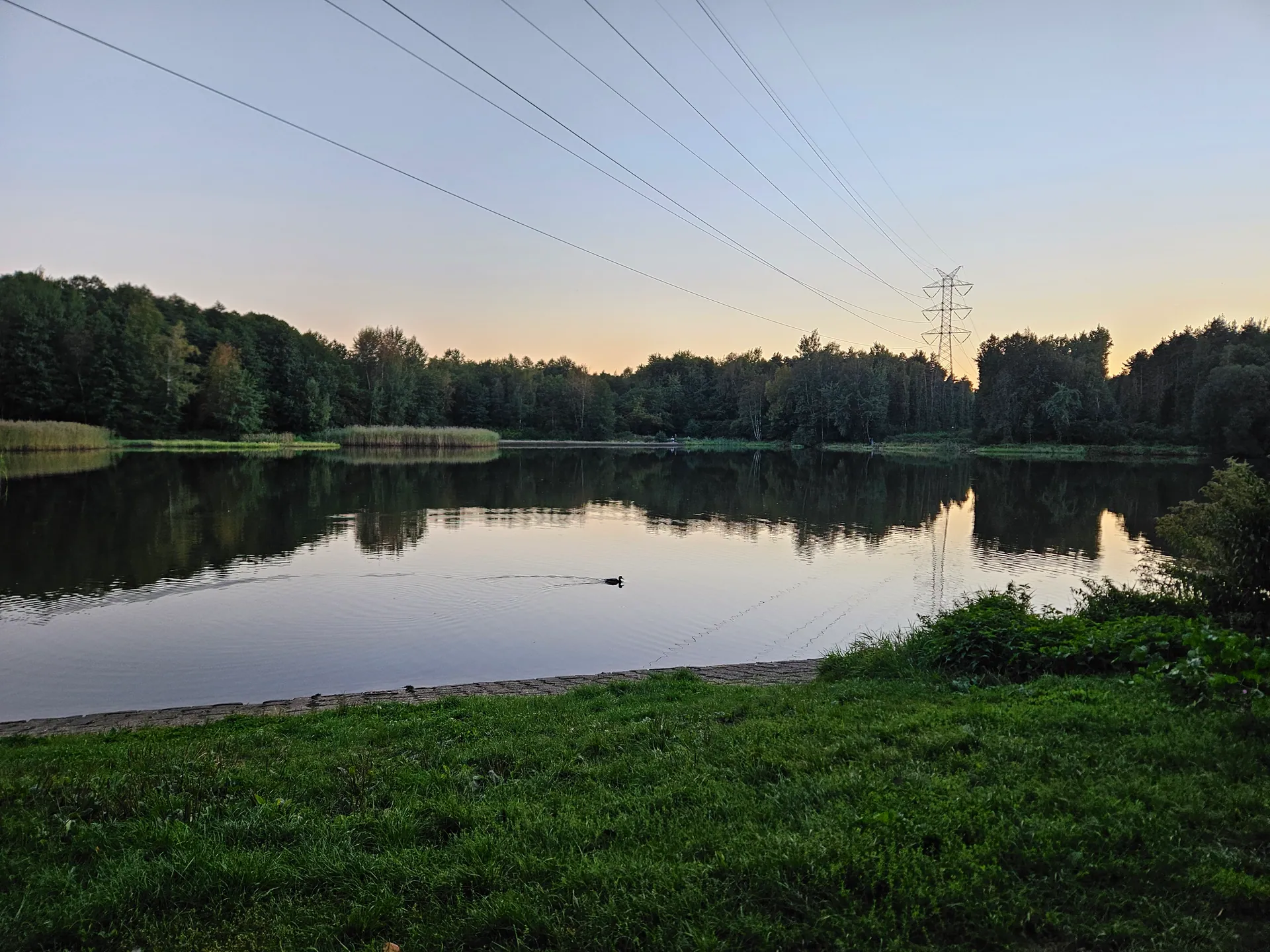 Starganiec przy Katowicach – rodzinny spacer i letnie kąpielisko – zdjęcie 8
