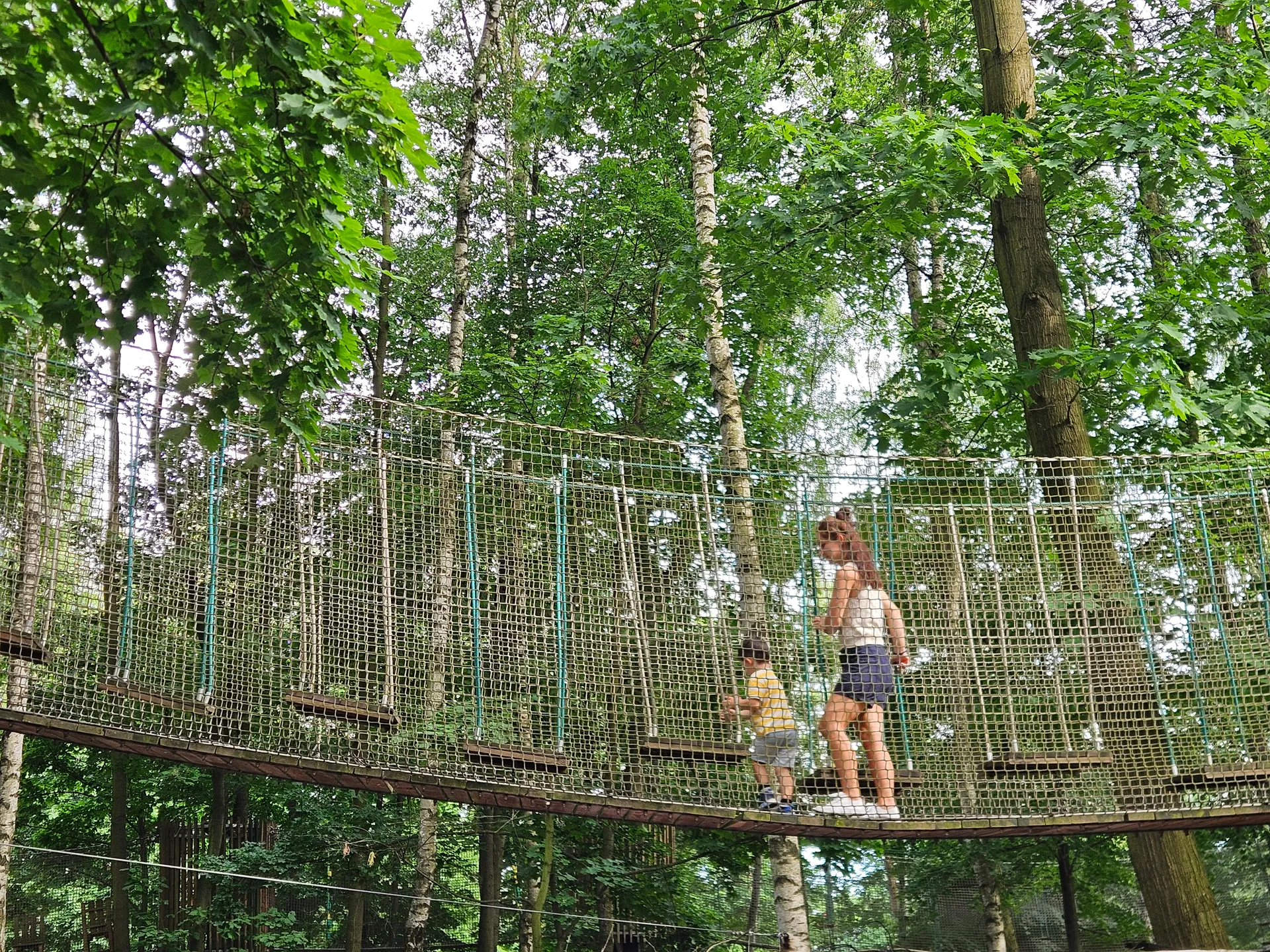 TwinPigs w Żorach – rodzinny park rozrywki – zdjęcie 25