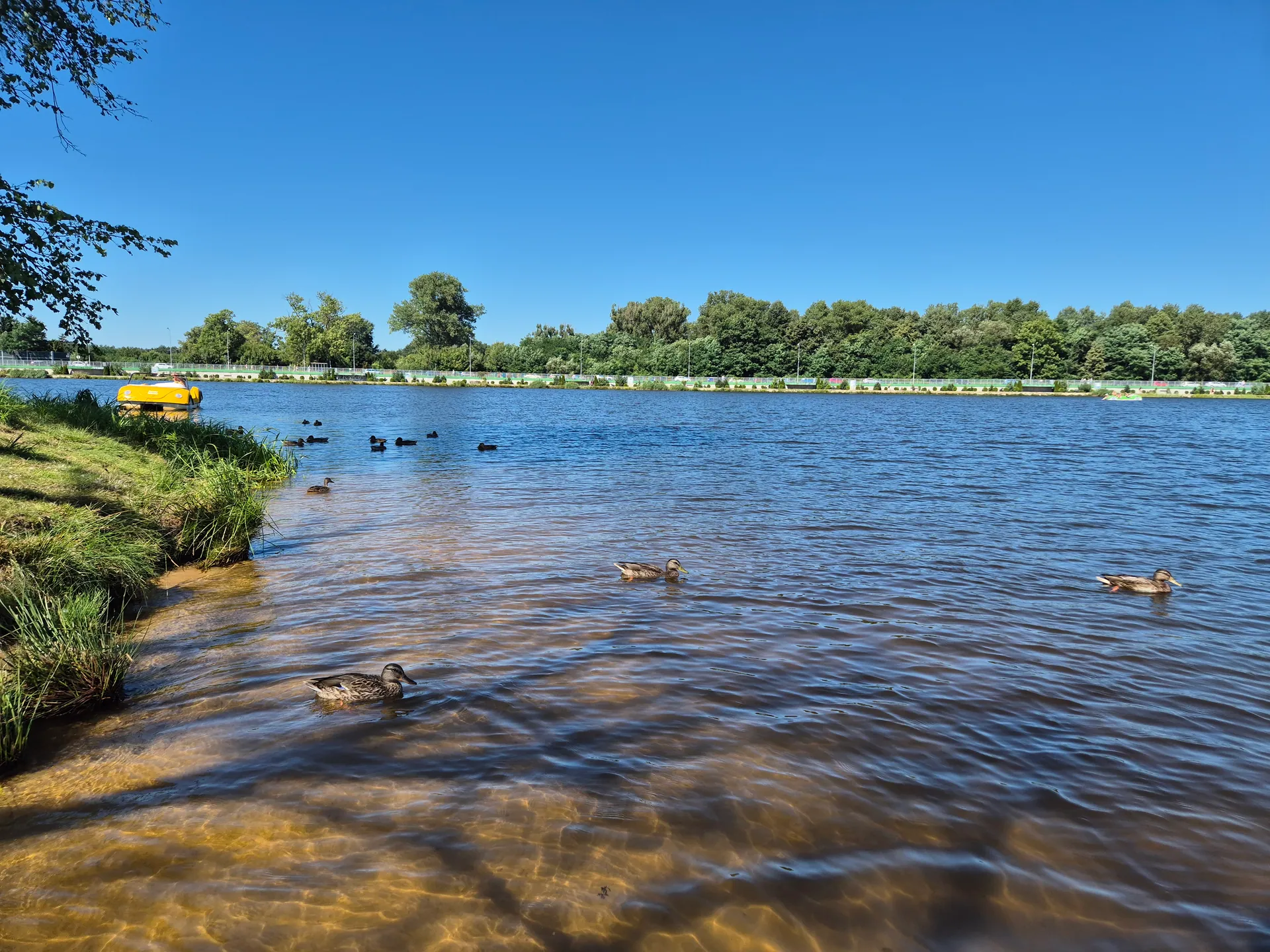 Sielpia z dziećmi – plaża, atrakcje i klimat jak nad morzem – zdjęcie 2