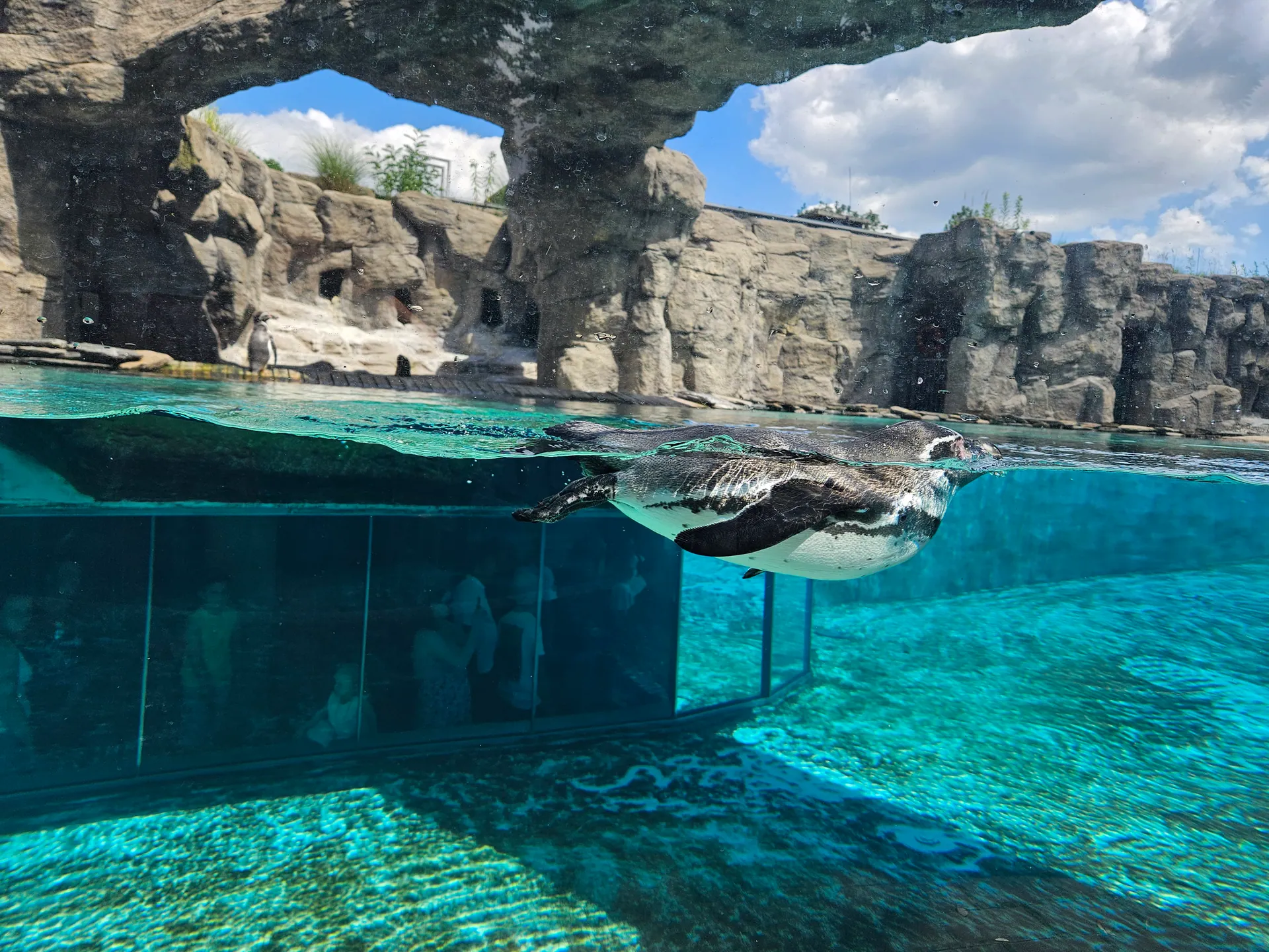 Zoo w Chorzowie – Śląski Ogród Zoologiczny z 2- i 4-latkiem – zdjęcie 7
