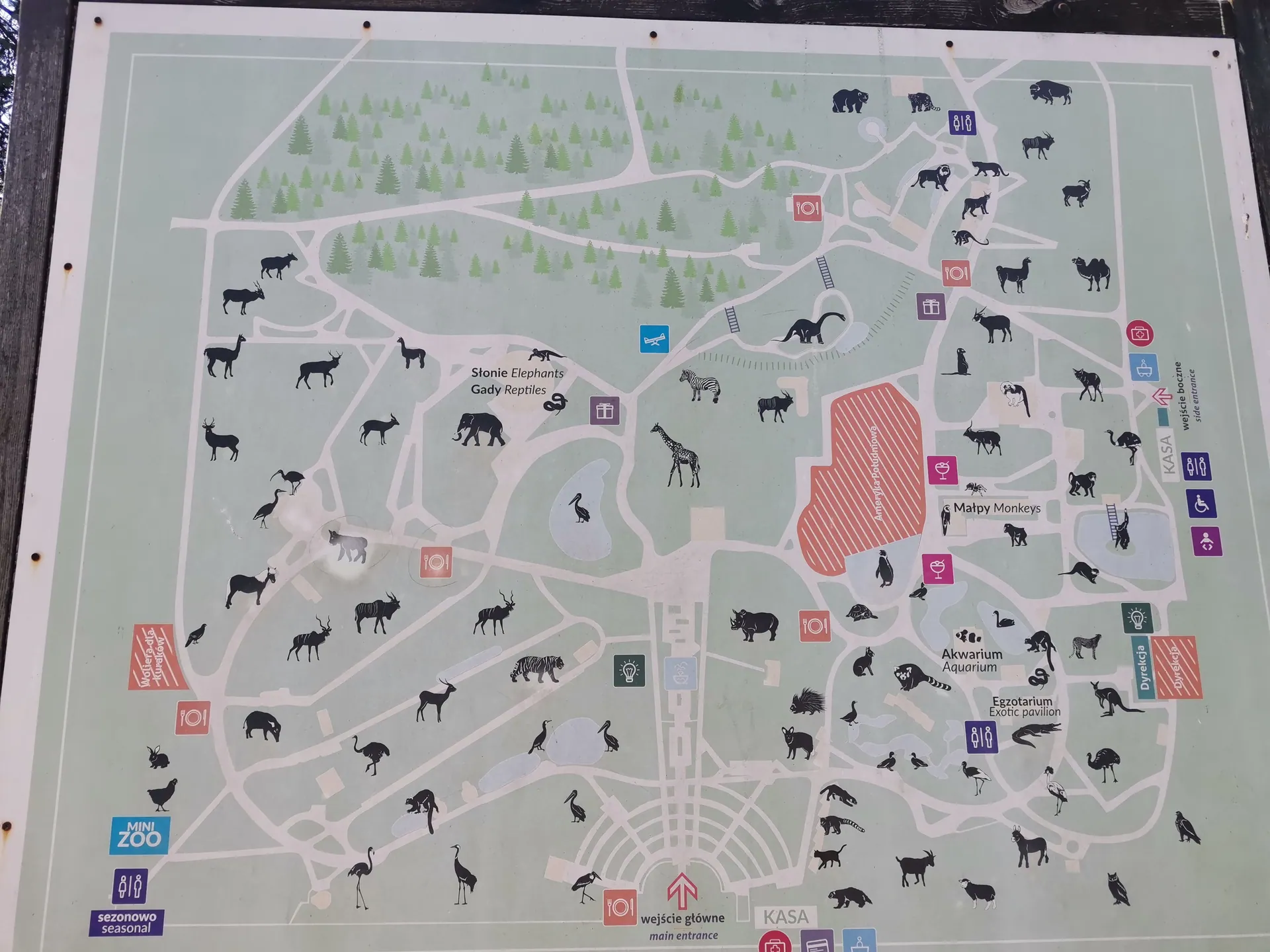 Zoo w Chorzowie – Śląski Ogród Zoologiczny z 2- i 4-latkiem – zdjęcie 10