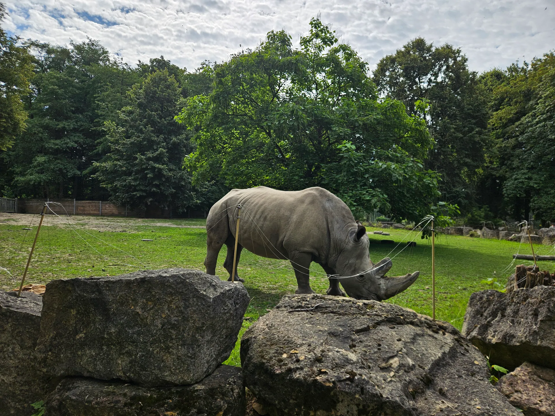 Zoo w Chorzowie – Śląski Ogród Zoologiczny z 2- i 4-latkiem – zdjęcie 11