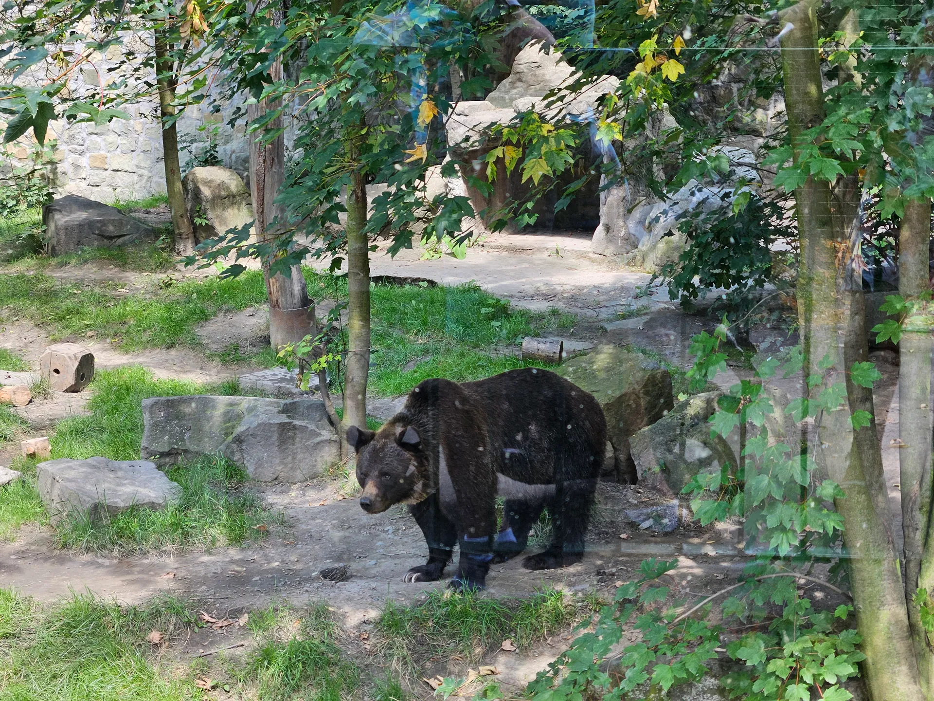Zoo w Chorzowie – Śląski Ogród Zoologiczny z 2- i 4-latkiem – zdjęcie 16