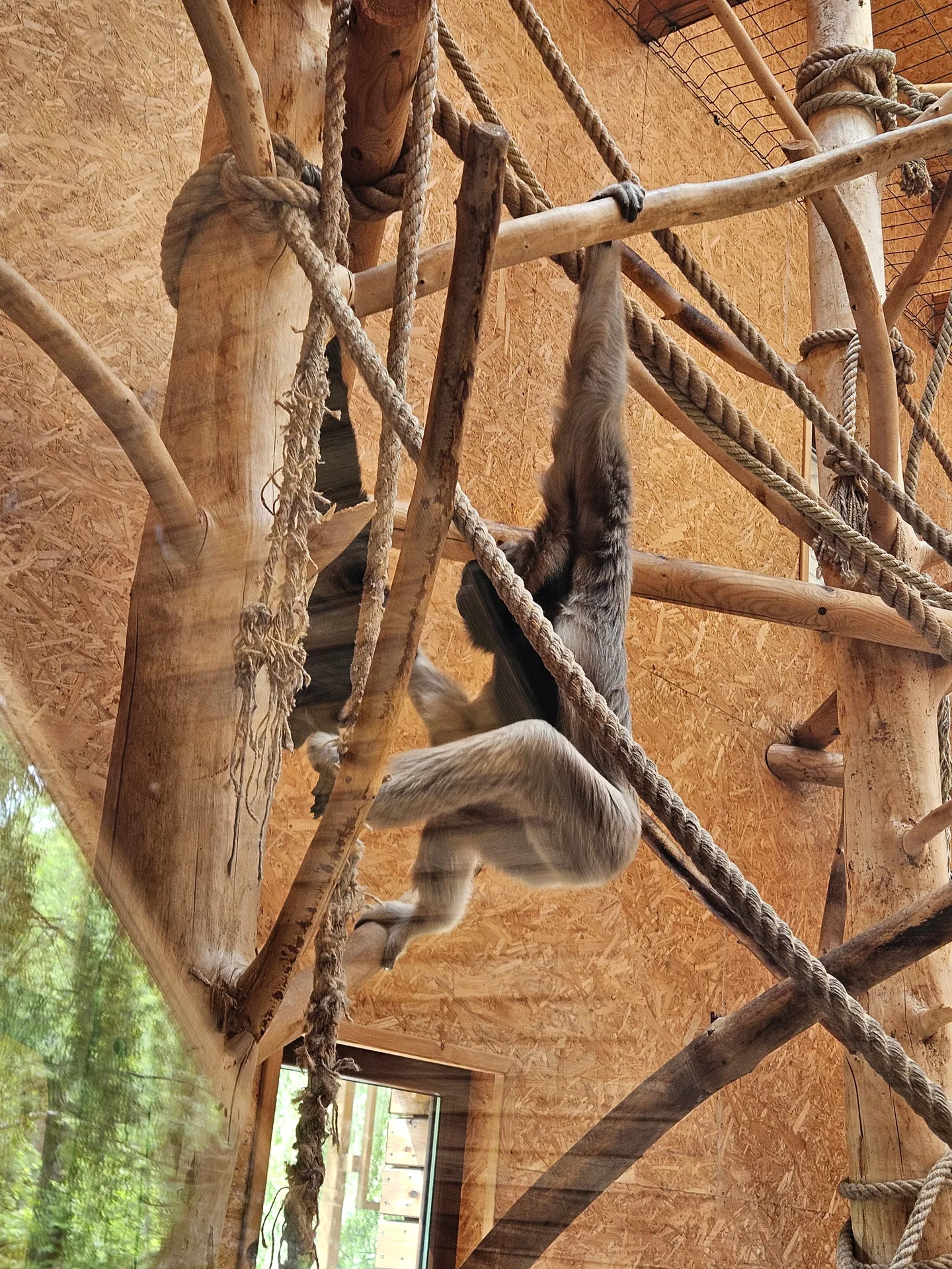 Zoo w Chorzowie – Śląski Ogród Zoologiczny z 2- i 4-latkiem – zdjęcie 17