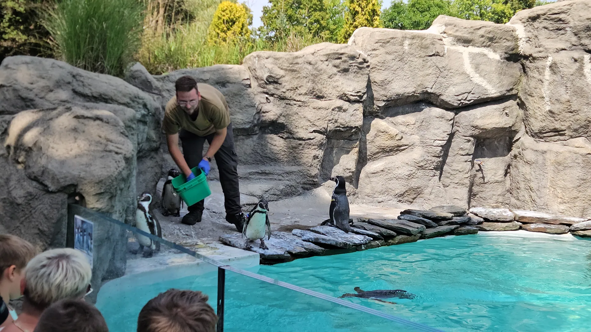 Zoo w Chorzowie – Śląski Ogród Zoologiczny z 2- i 4-latkiem – zdjęcie 18