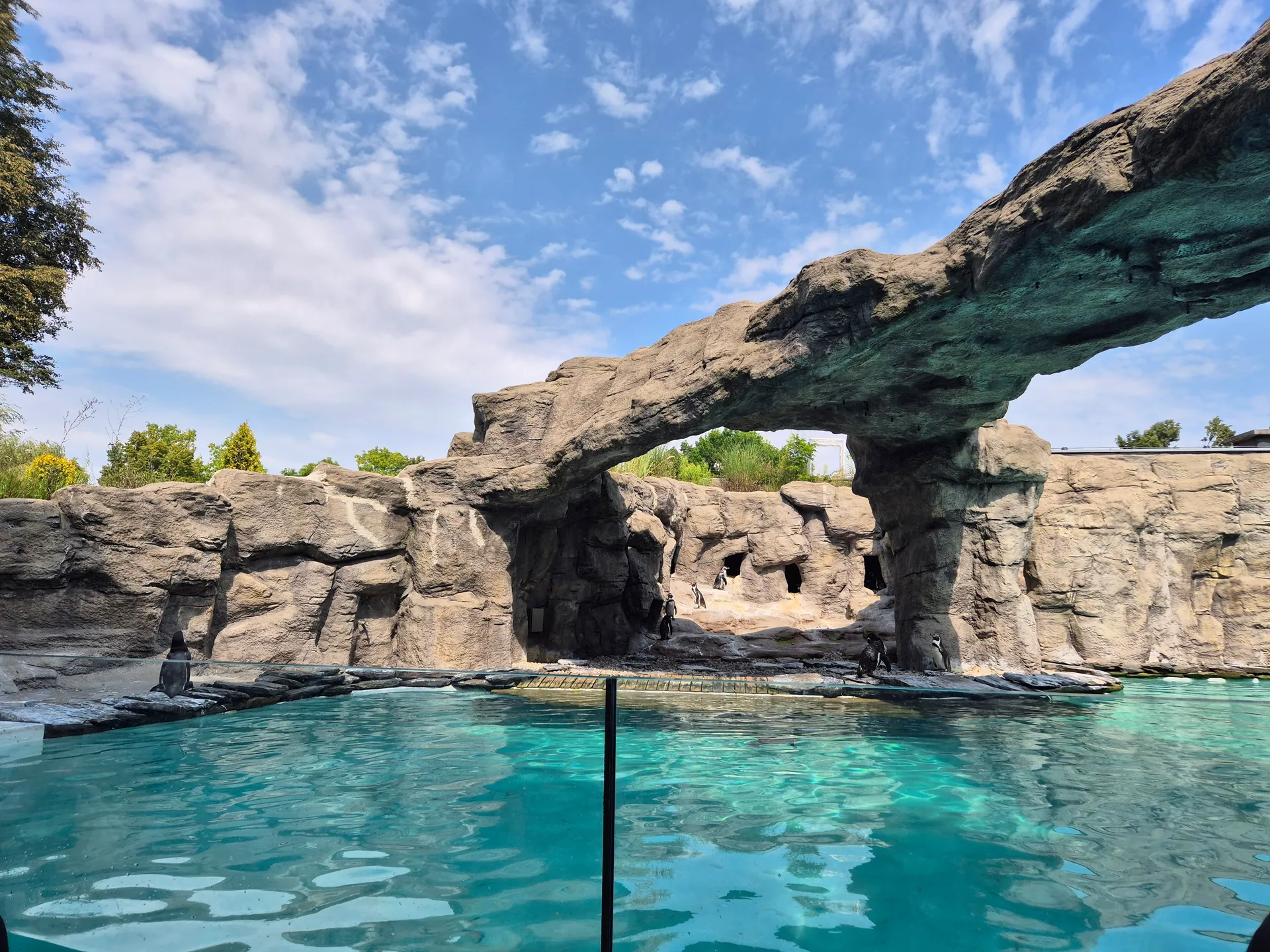 Zoo w Chorzowie – Śląski Ogród Zoologiczny z 2- i 4-latkiem – zdjęcie 19
