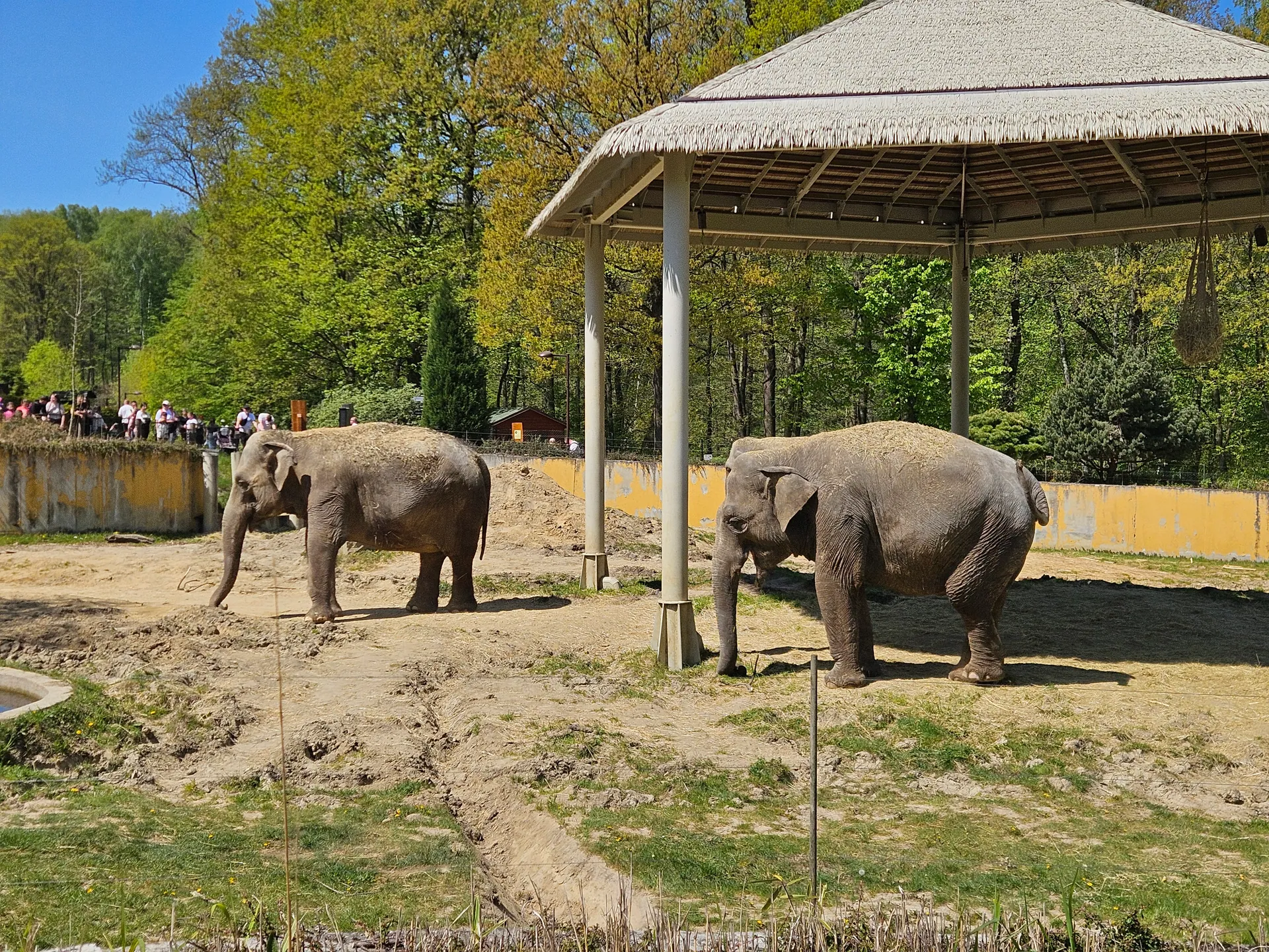 Zoo Ostrava – całodniowa wycieczka z dziećmi – zdjęcie 1