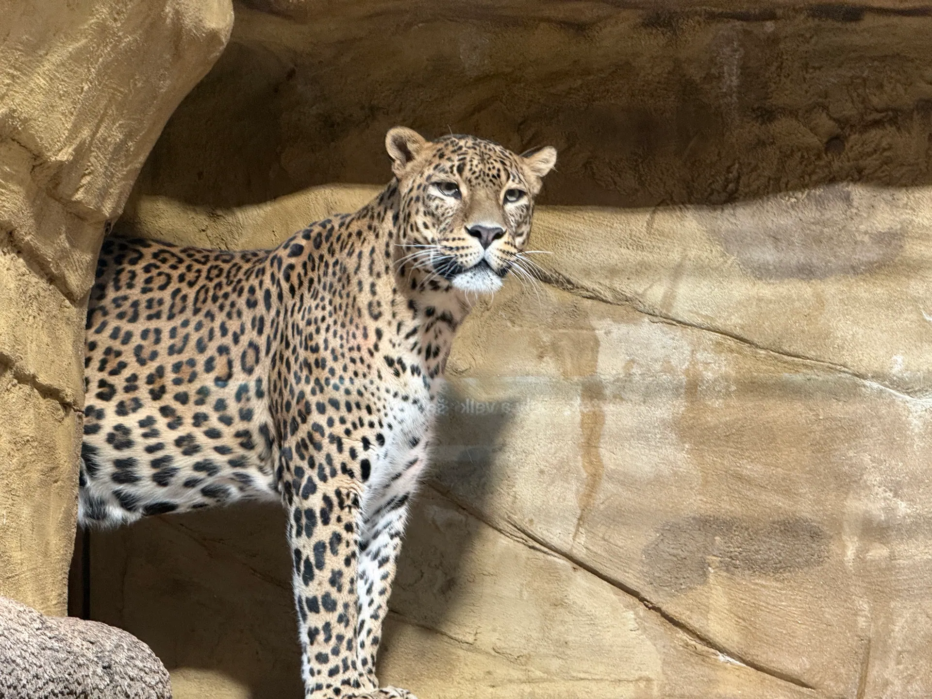 Zoo Ostrava – całodniowa wycieczka z dziećmi – zdjęcie 3