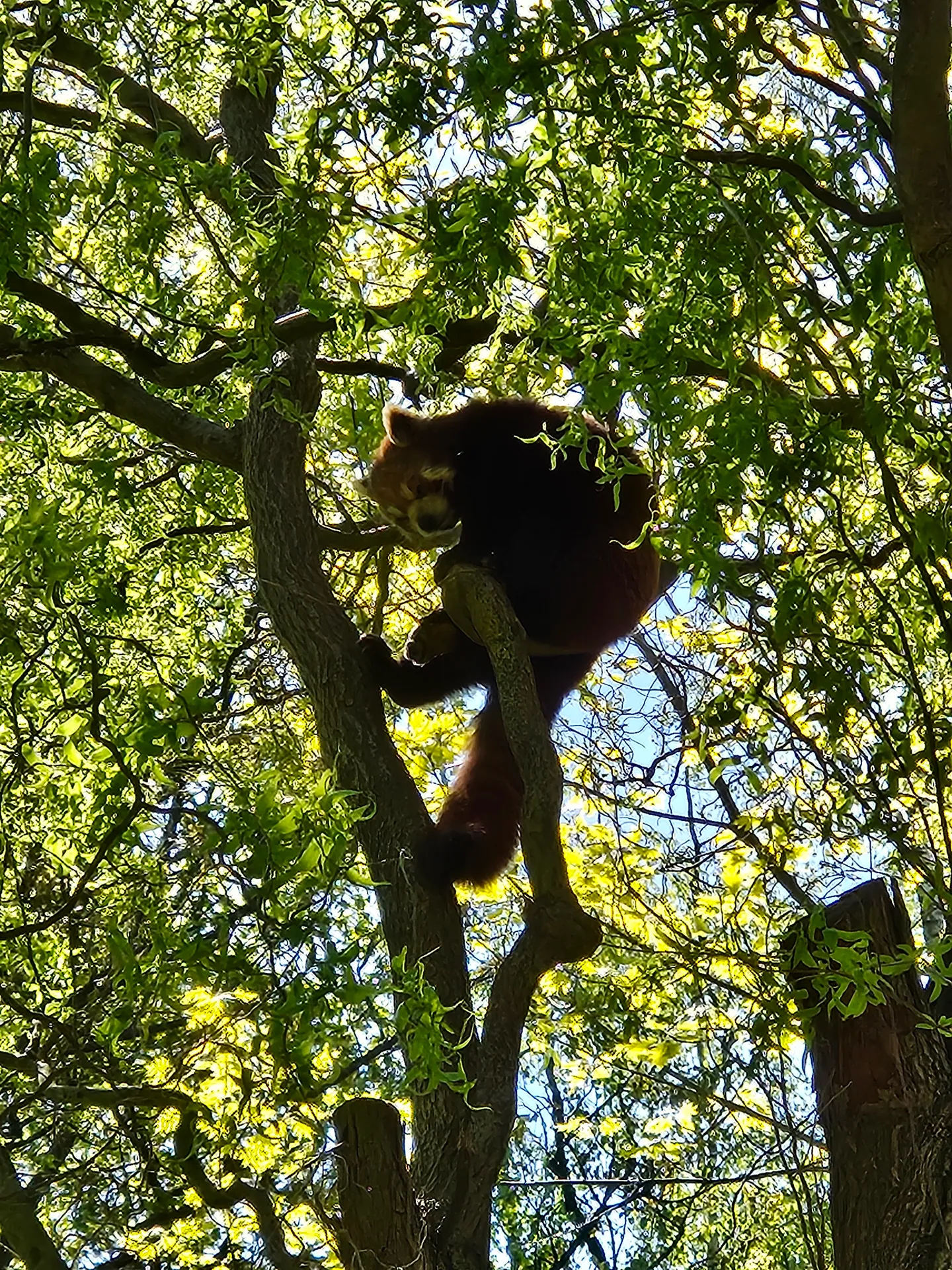 Zoo Ostrava – całodniowa wycieczka z dziećmi – zdjęcie 8