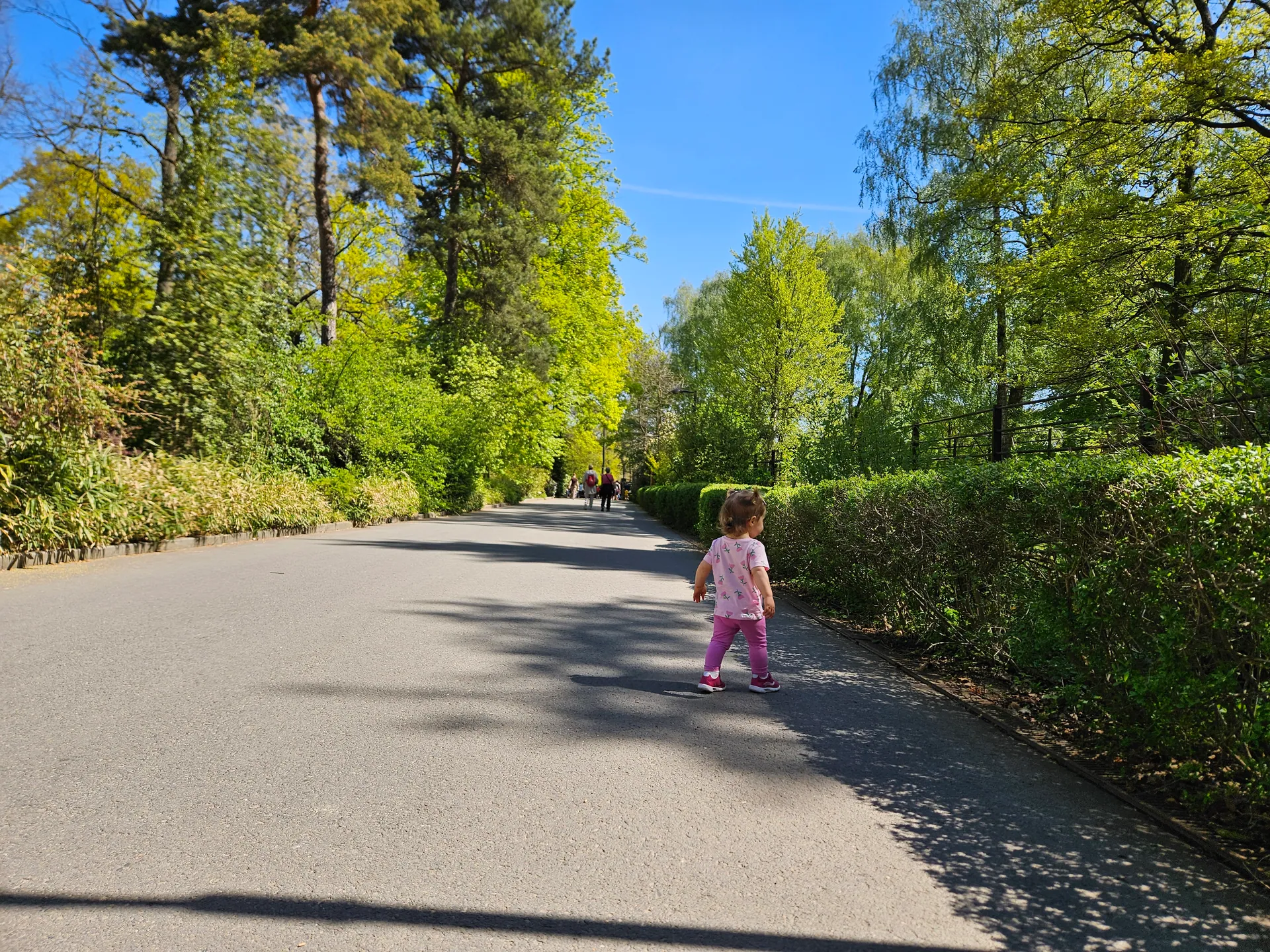 Zoo Ostrava – całodniowa wycieczka z dziećmi – zdjęcie 9