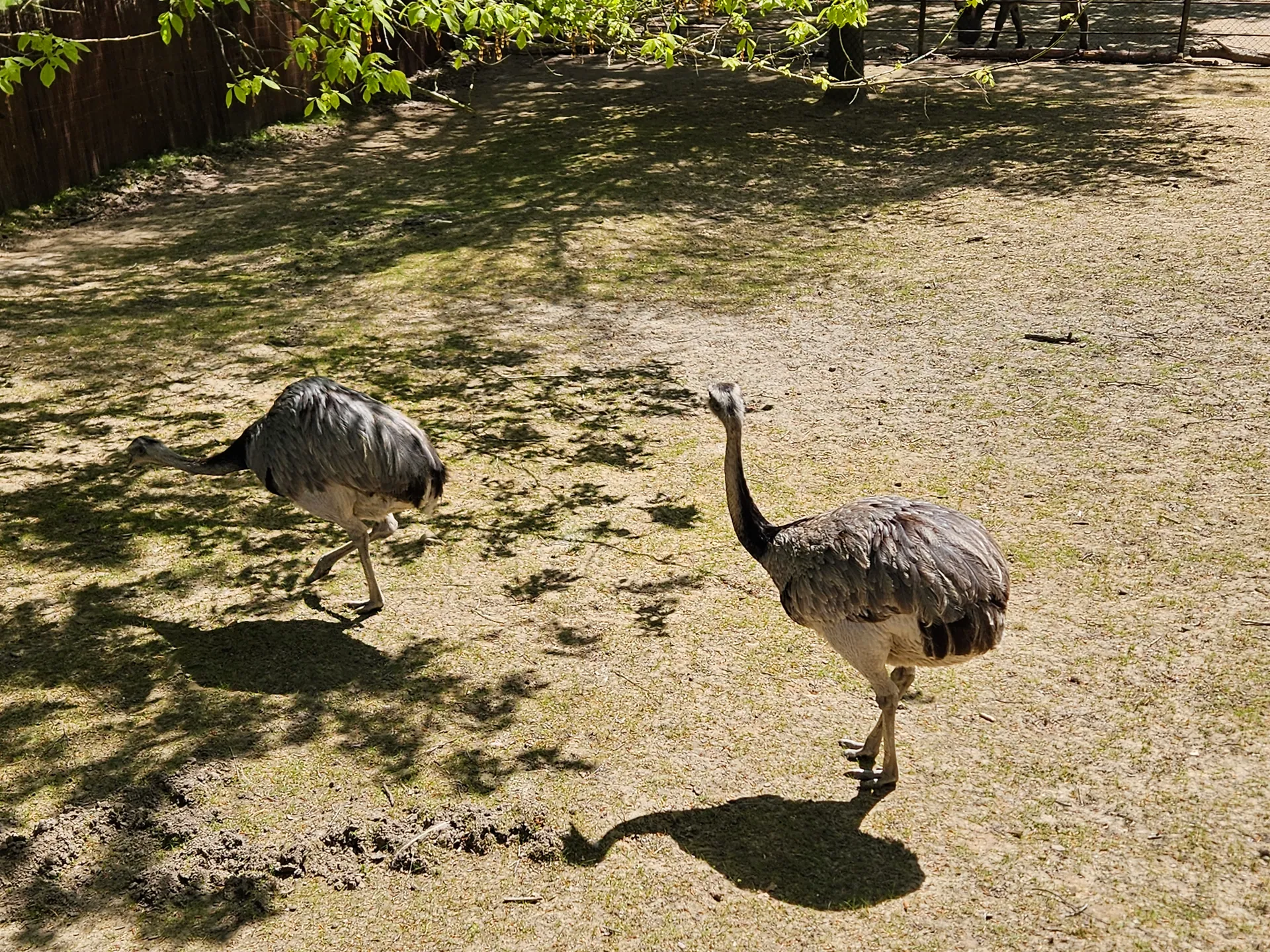 Zoo Ostrava – całodniowa wycieczka z dziećmi – zdjęcie 10