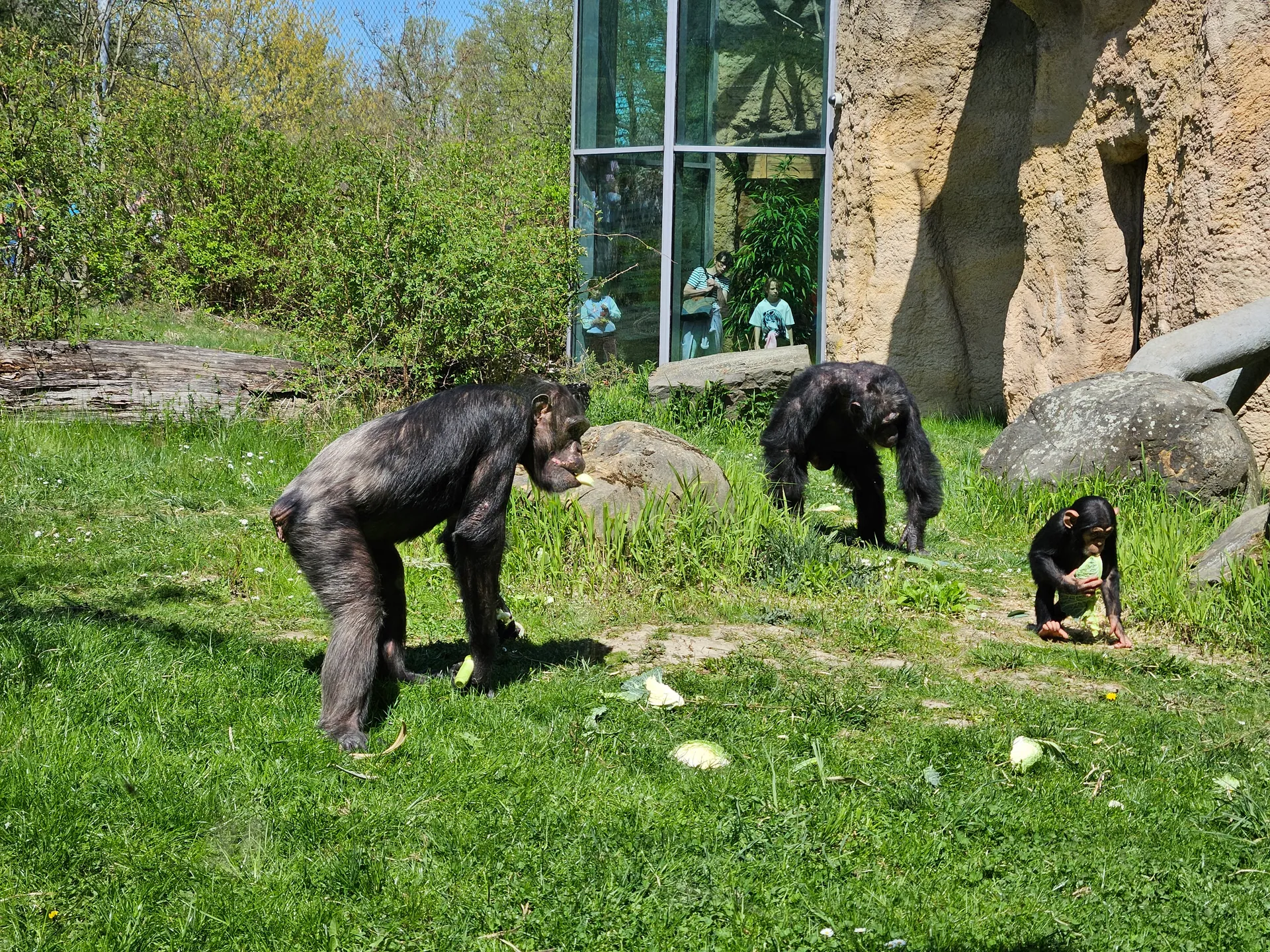 Zoo Ostrava – całodniowa wycieczka z dziećmi – zdjęcie 11