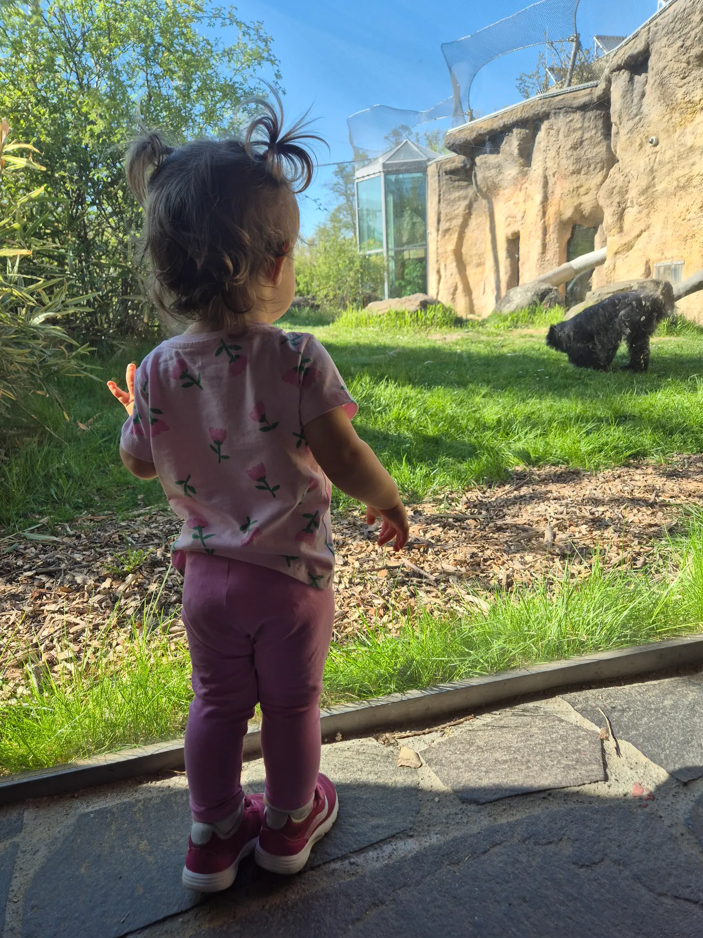 Zoo Ostrava – całodniowa wycieczka z dziećmi – zdjęcie 15