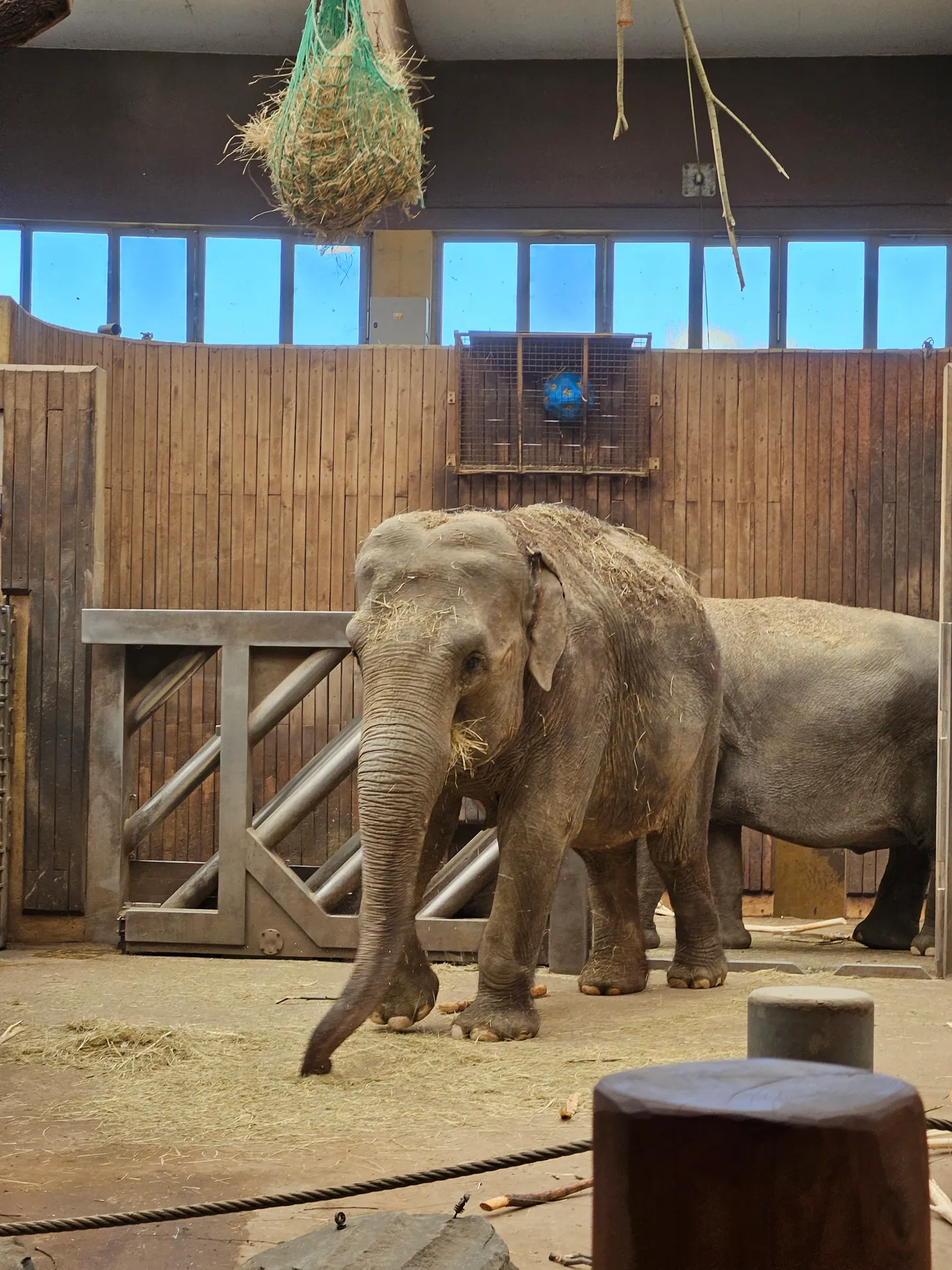 Zoo Ostrava – całodniowa wycieczka z dziećmi – zdjęcie 16
