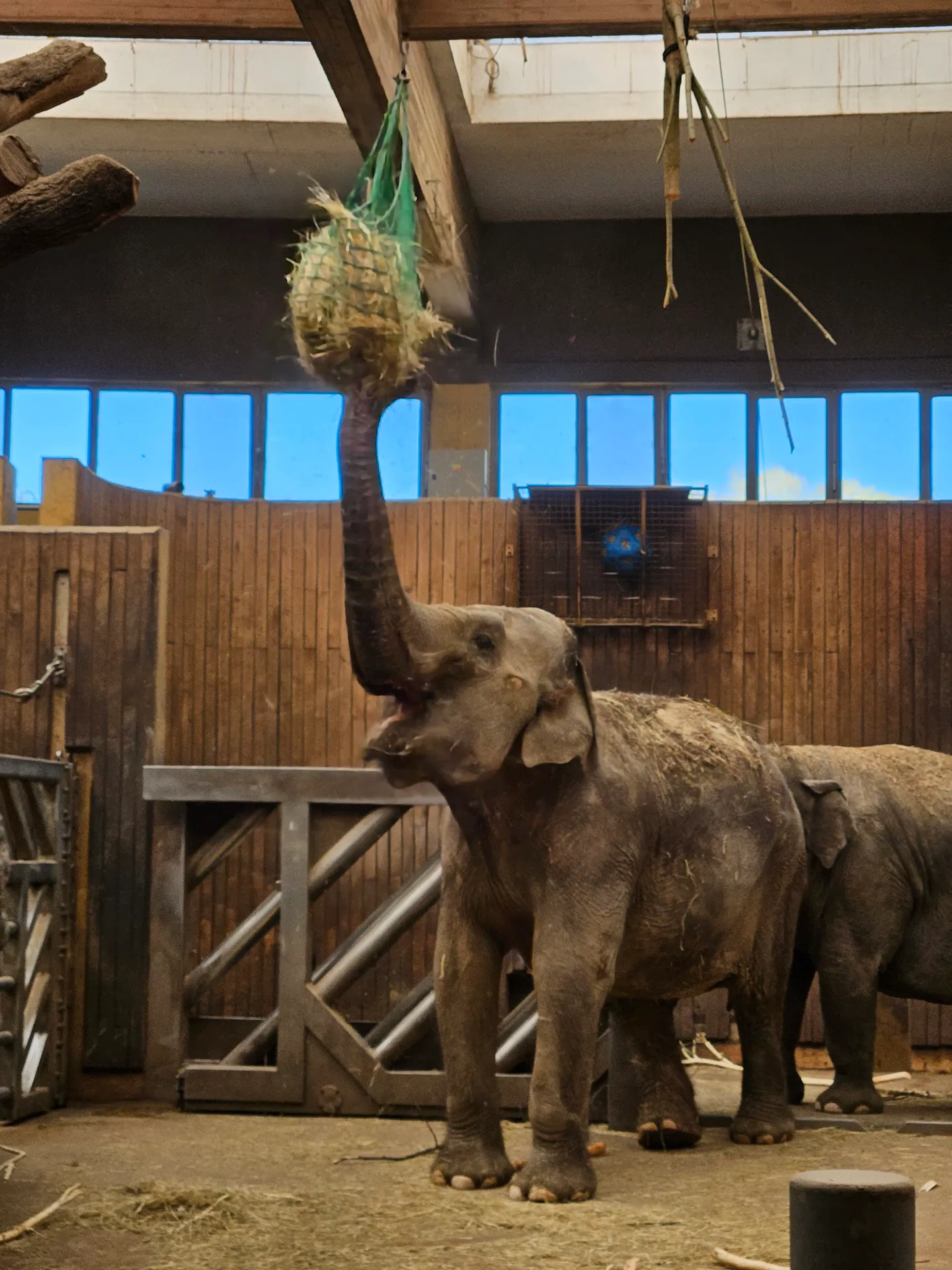 Zoo Ostrava – całodniowa wycieczka z dziećmi – zdjęcie 17