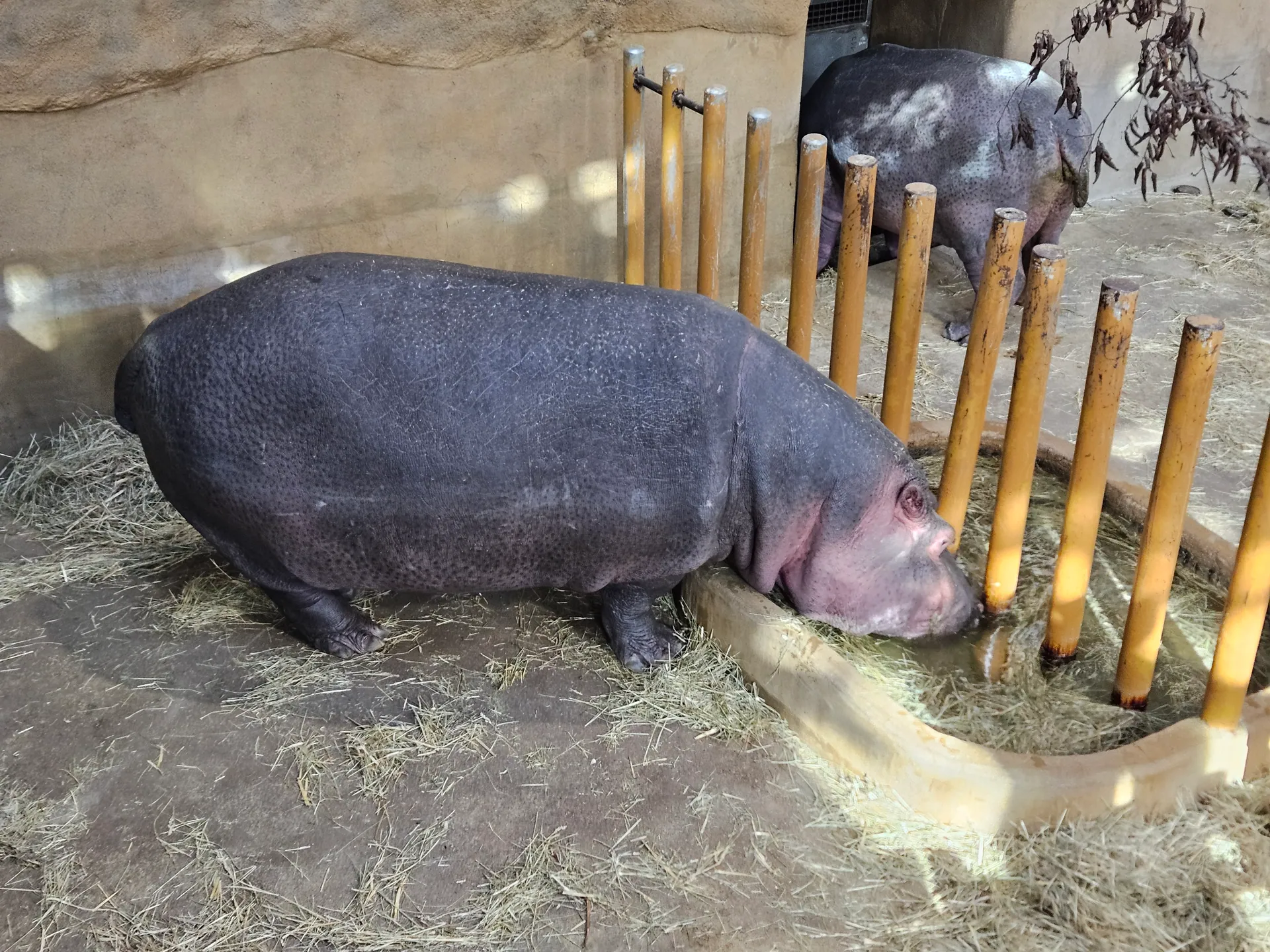 Zoo Ostrava – całodniowa wycieczka z dziećmi – zdjęcie 19