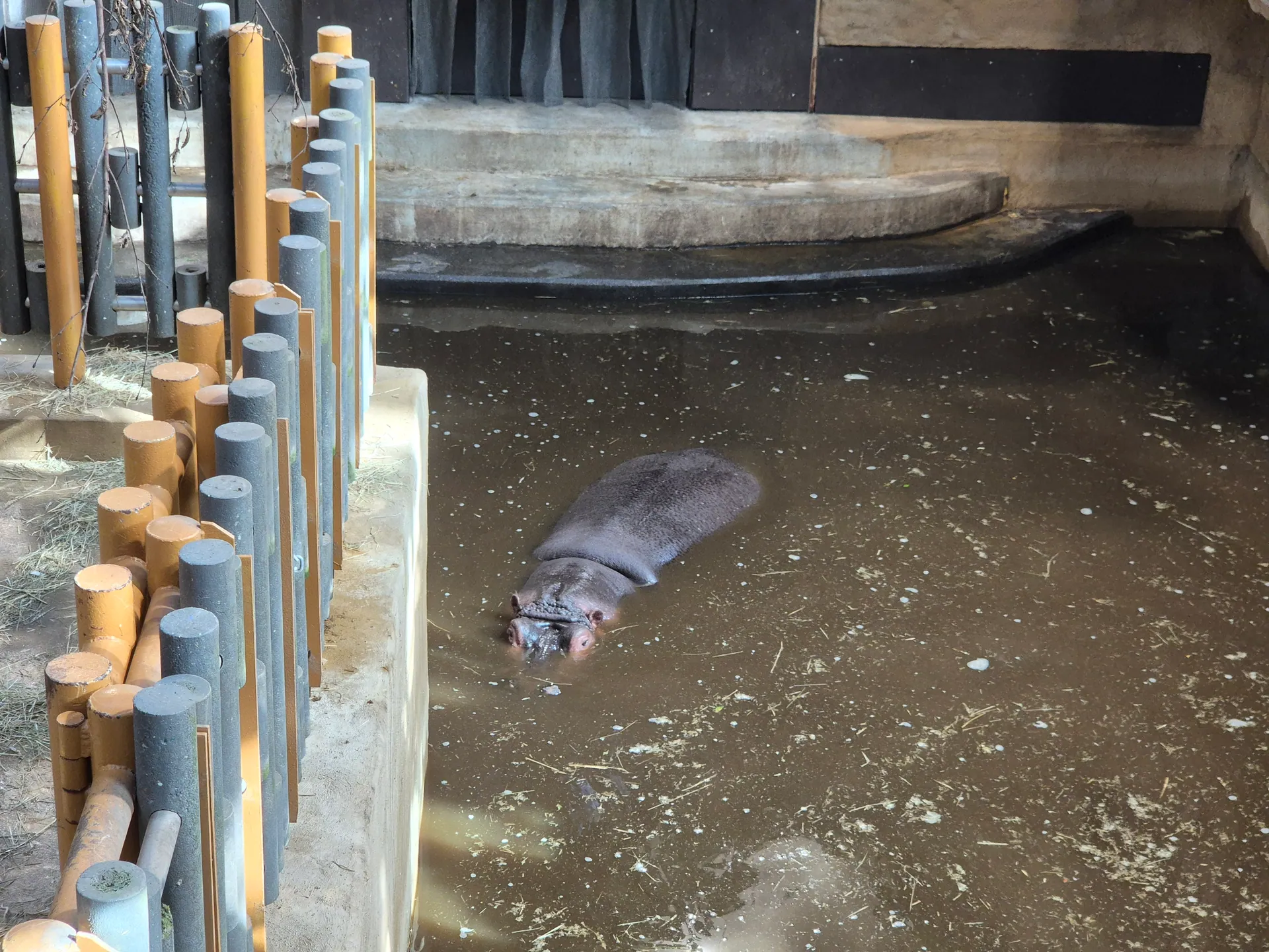 Zoo Ostrava – całodniowa wycieczka z dziećmi – zdjęcie 21