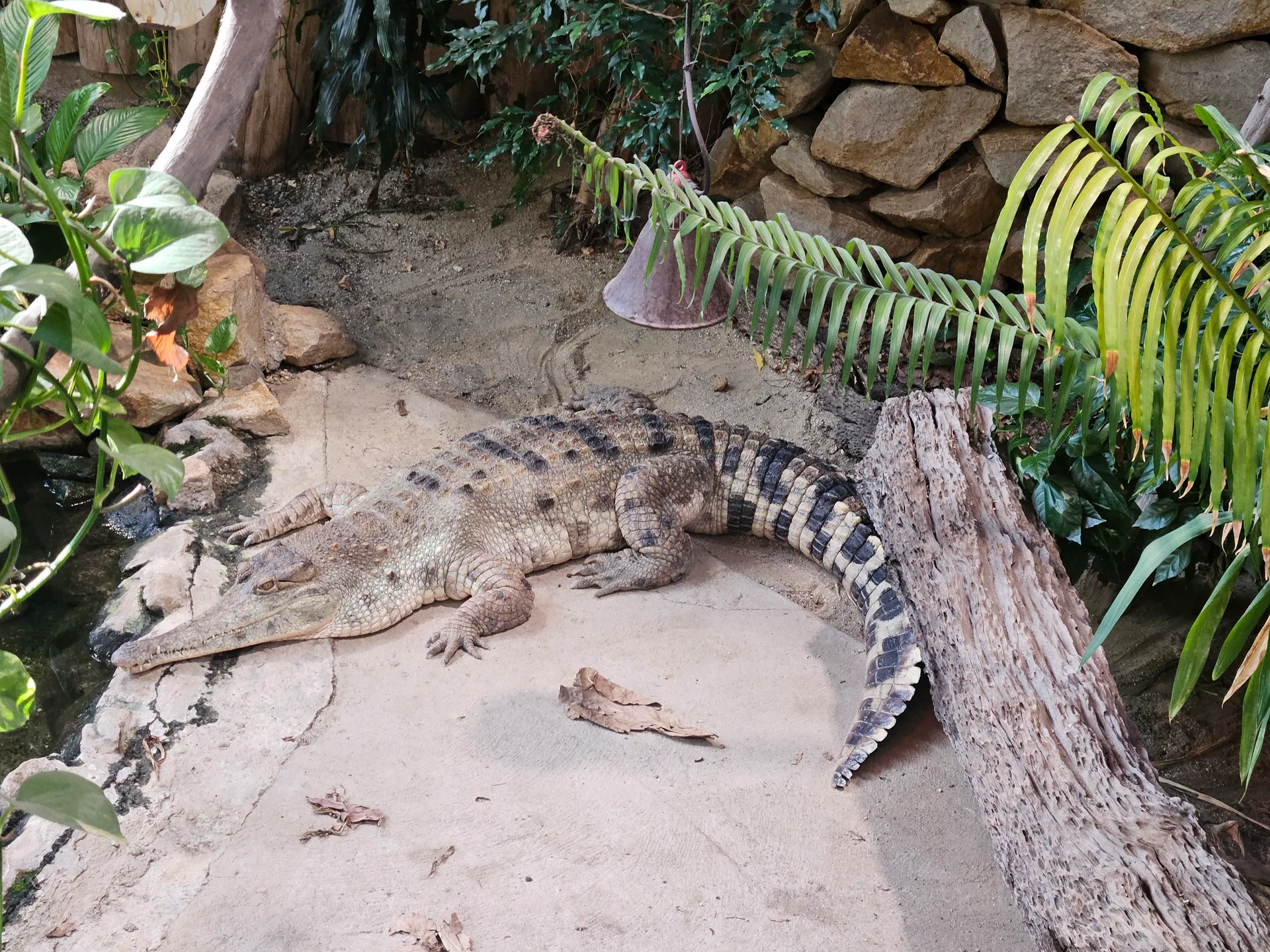 Zoo Ostrava – całodniowa wycieczka z dziećmi – zdjęcie 22