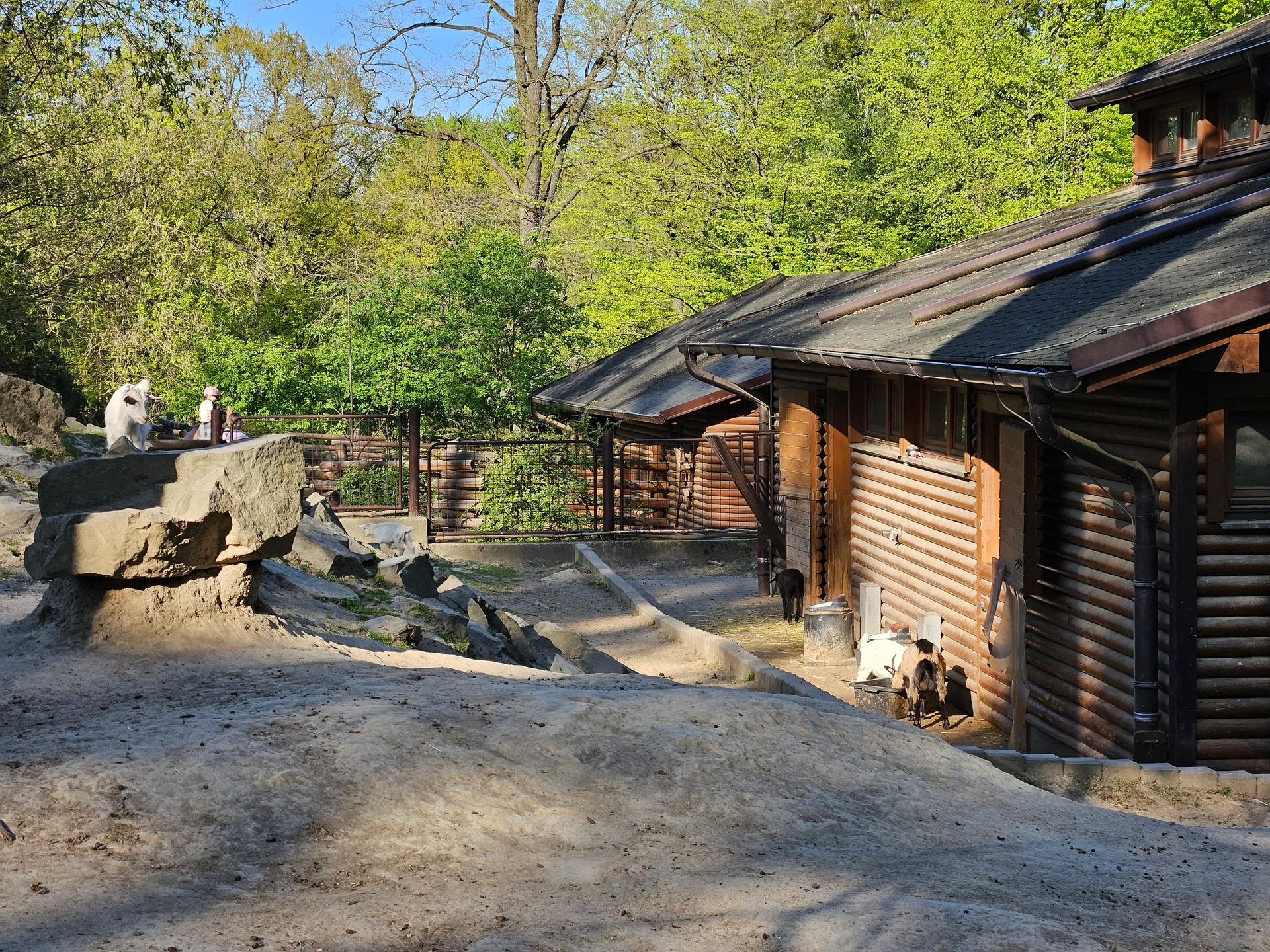 Zoo Ostrava – całodniowa wycieczka z dziećmi – zdjęcie 23