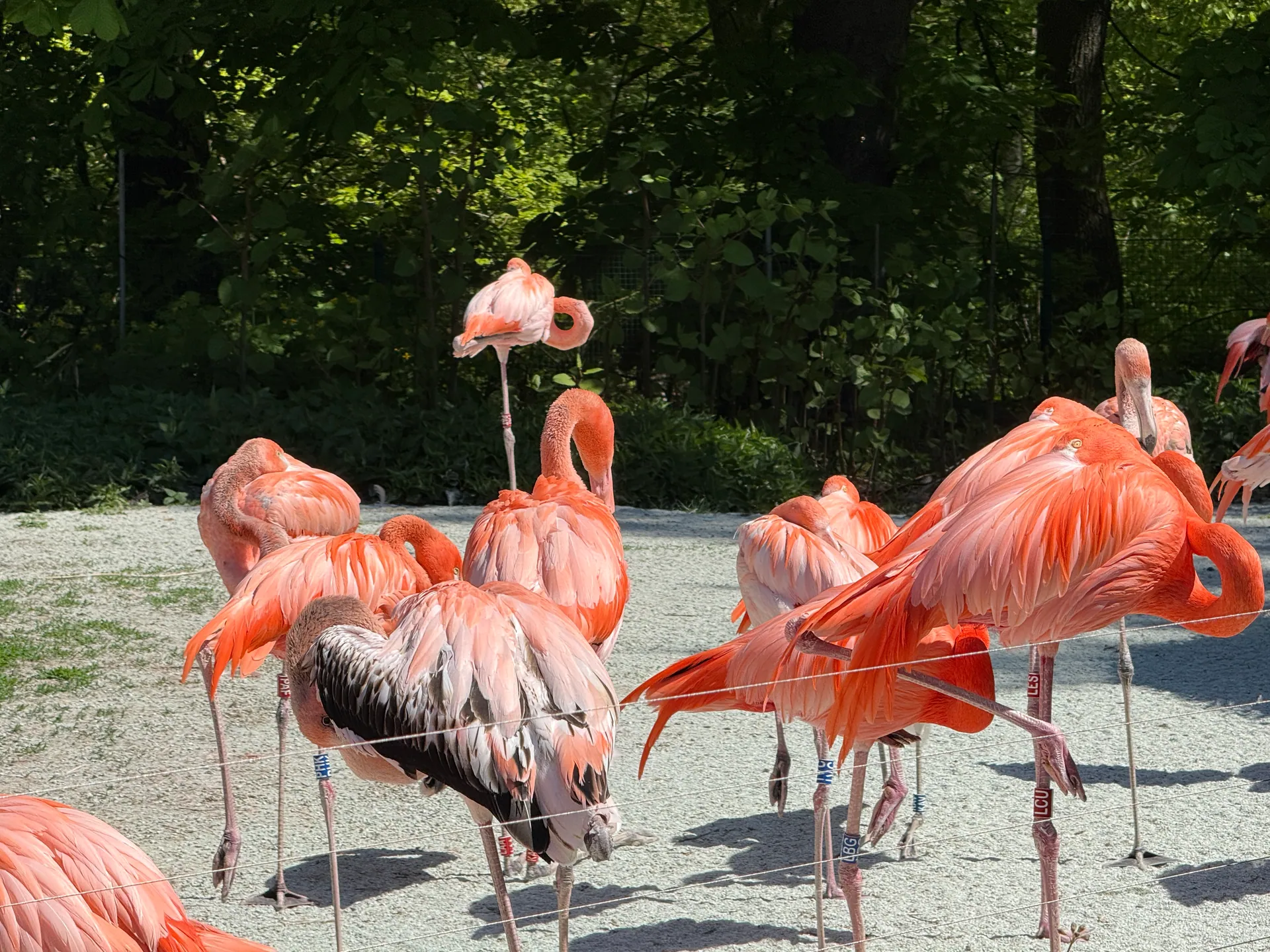 Zoo Ostrava – całodniowa wycieczka z dziećmi – zdjęcie 24