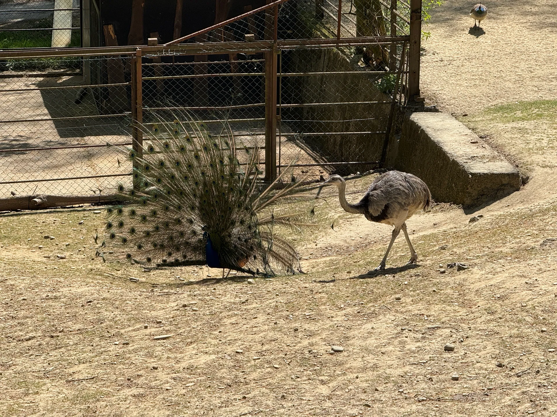 Zoo Ostrava – całodniowa wycieczka z dziećmi – zdjęcie 26