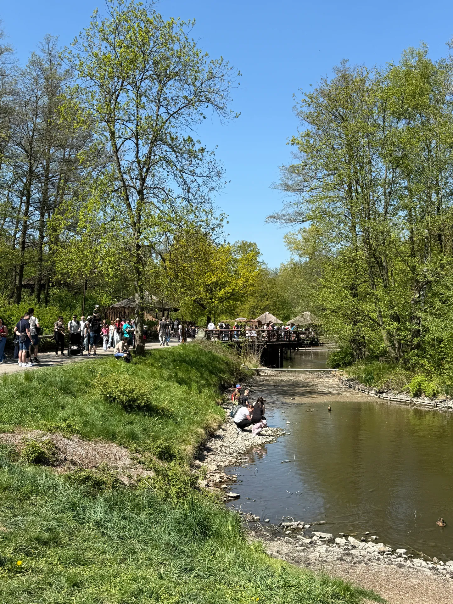 Zoo Ostrava – całodniowa wycieczka z dziećmi – zdjęcie 28