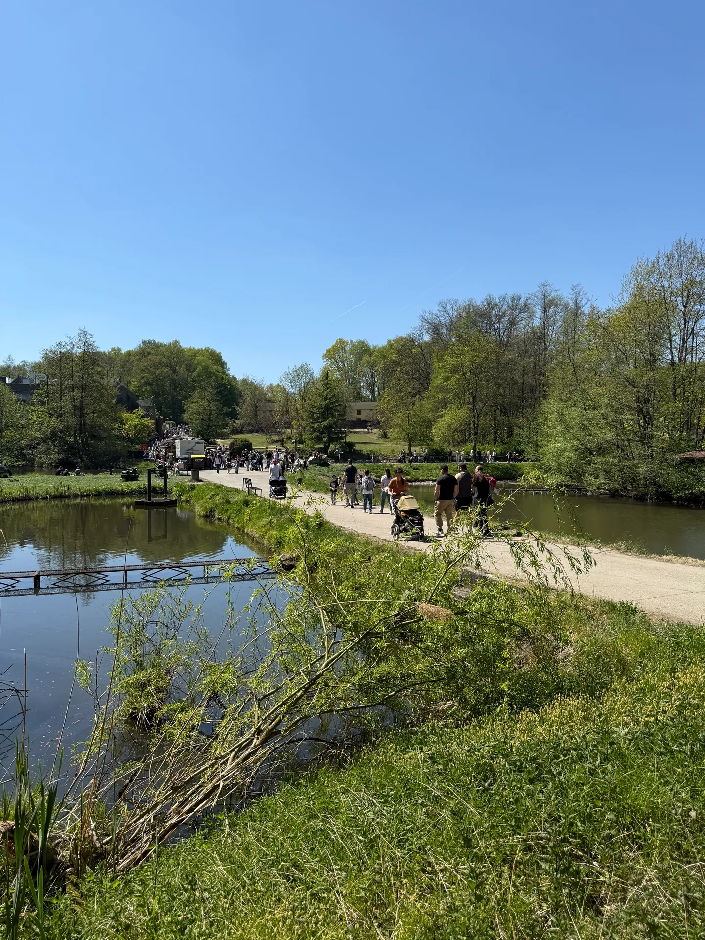Zoo Ostrava – całodniowa wycieczka z dziećmi – zdjęcie 29