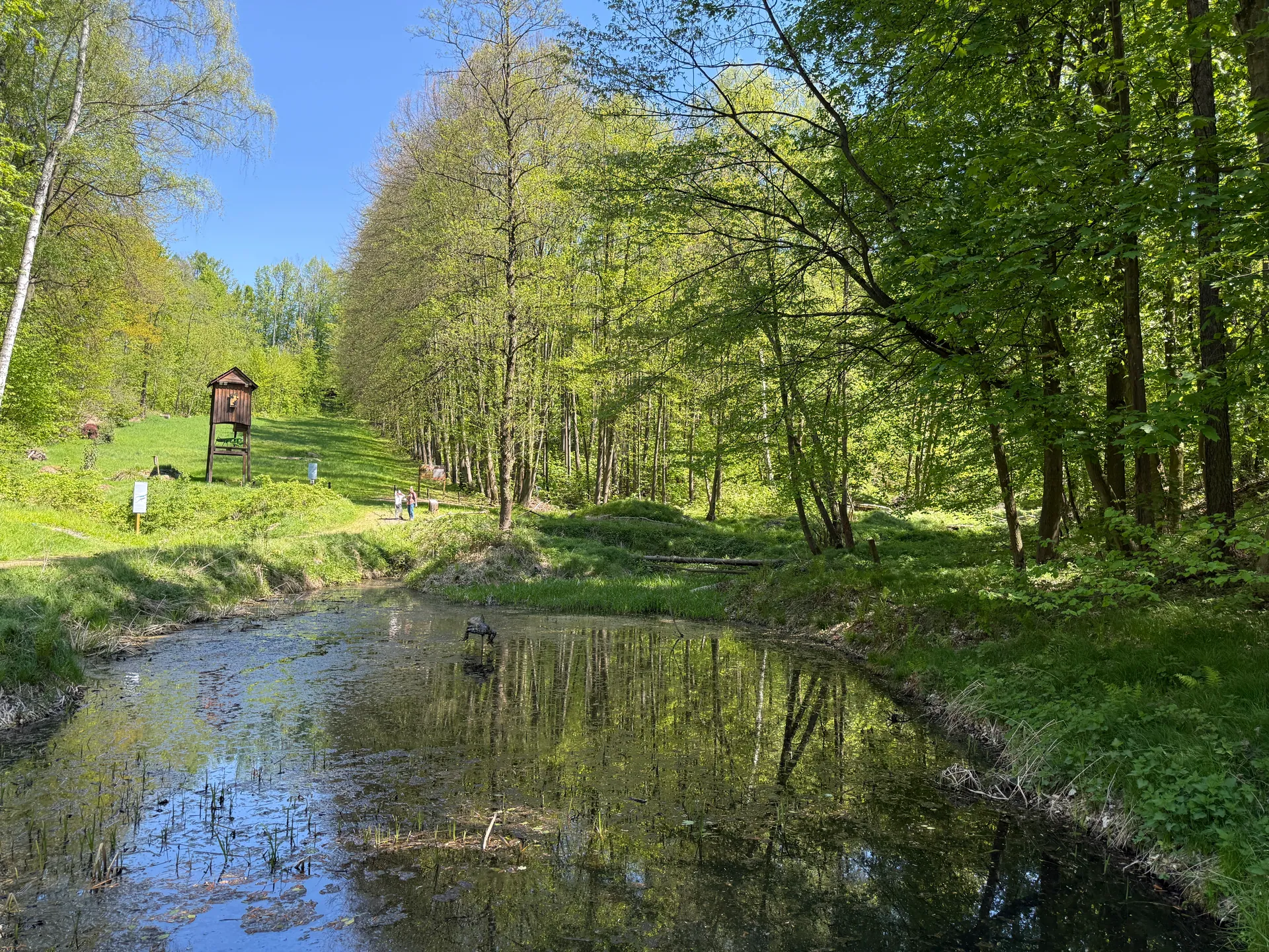 Zoo Ostrava – całodniowa wycieczka z dziećmi – zdjęcie 30
