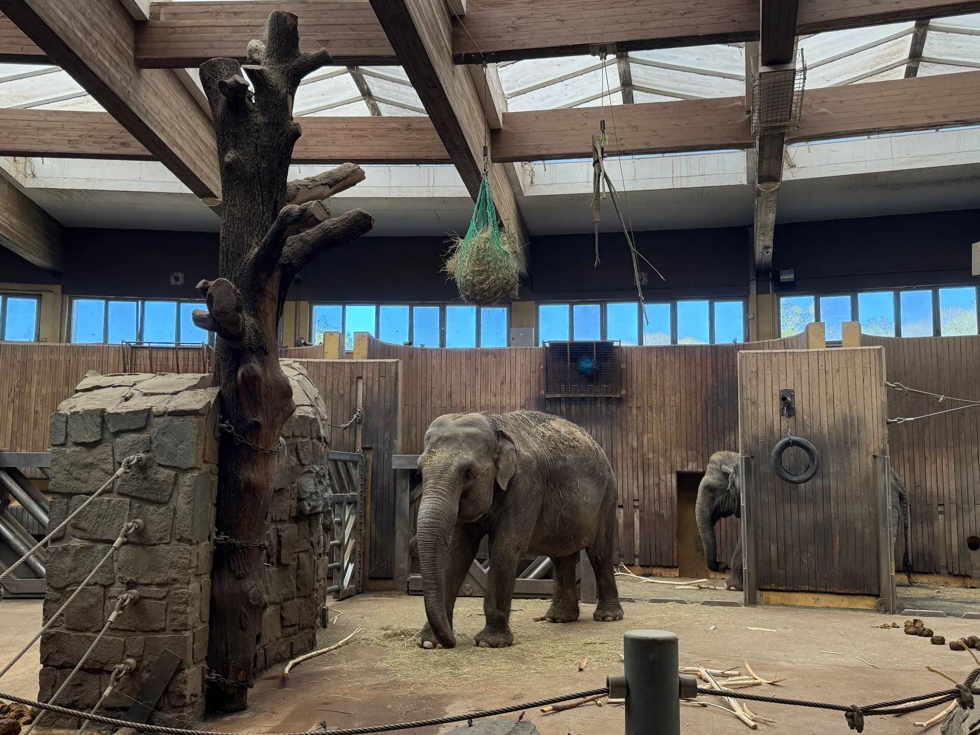 Zoo Ostrava – całodniowa wycieczka z dziećmi – zdjęcie 31
