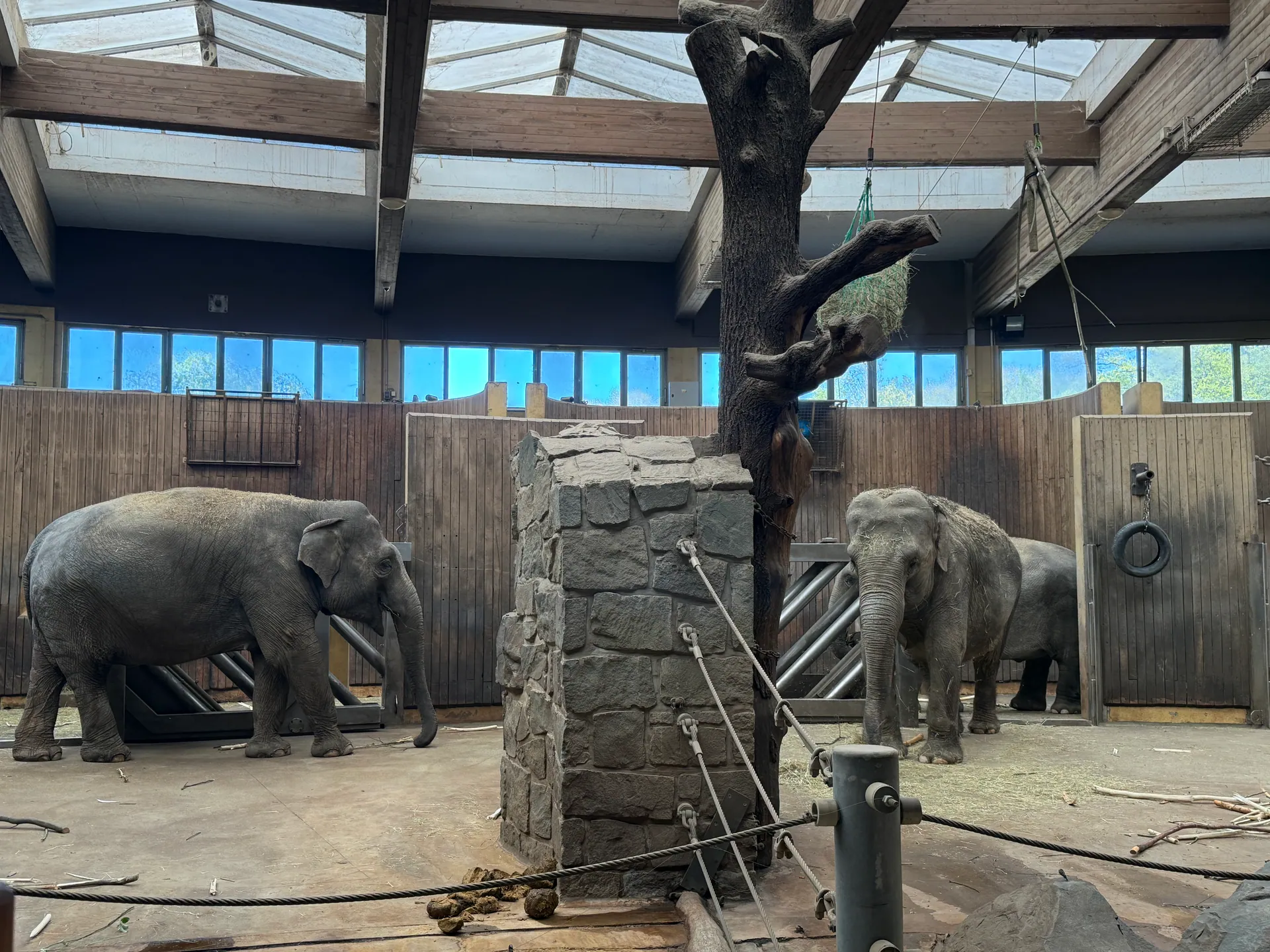 Zoo Ostrava – całodniowa wycieczka z dziećmi – zdjęcie 32