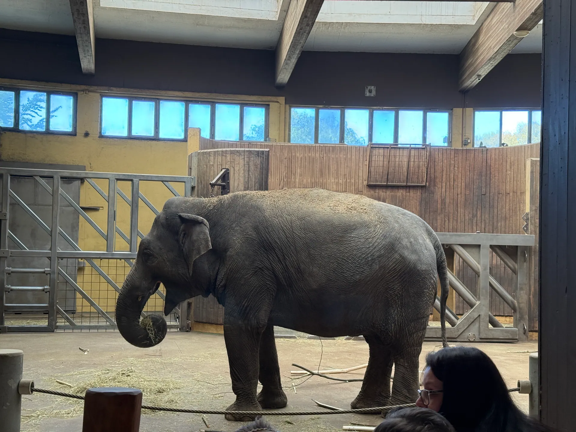 Zoo Ostrava – całodniowa wycieczka z dziećmi – zdjęcie 33