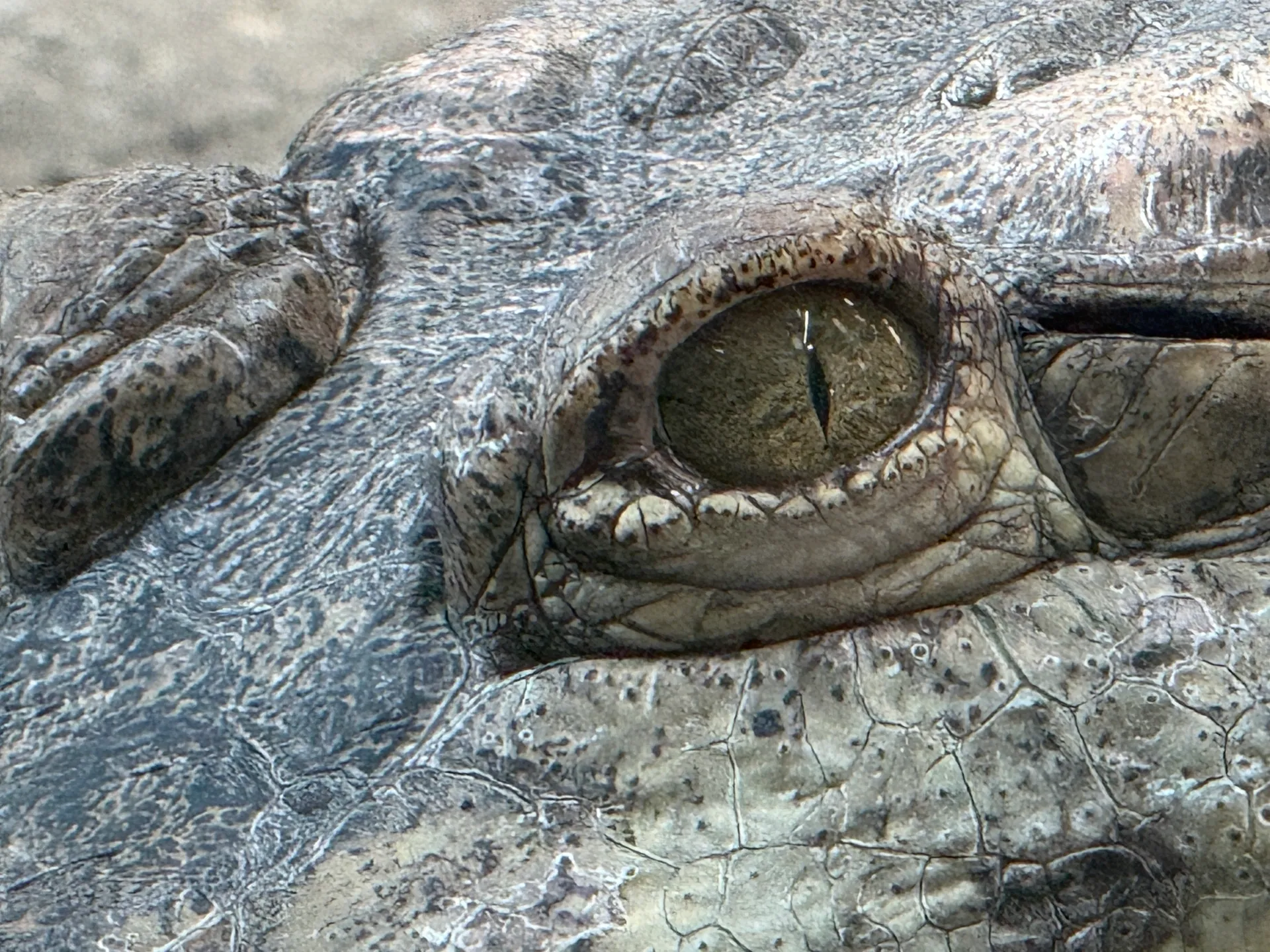 Zoo Ostrava – całodniowa wycieczka z dziećmi – zdjęcie 34